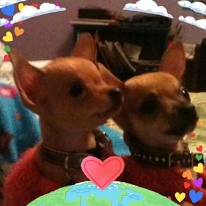 Meet your Posher, Maria